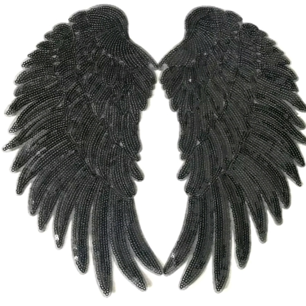 1Pair black wing